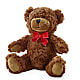 Adorable Plush Bear – Maple Ridge Florist, Maple Ridge BC