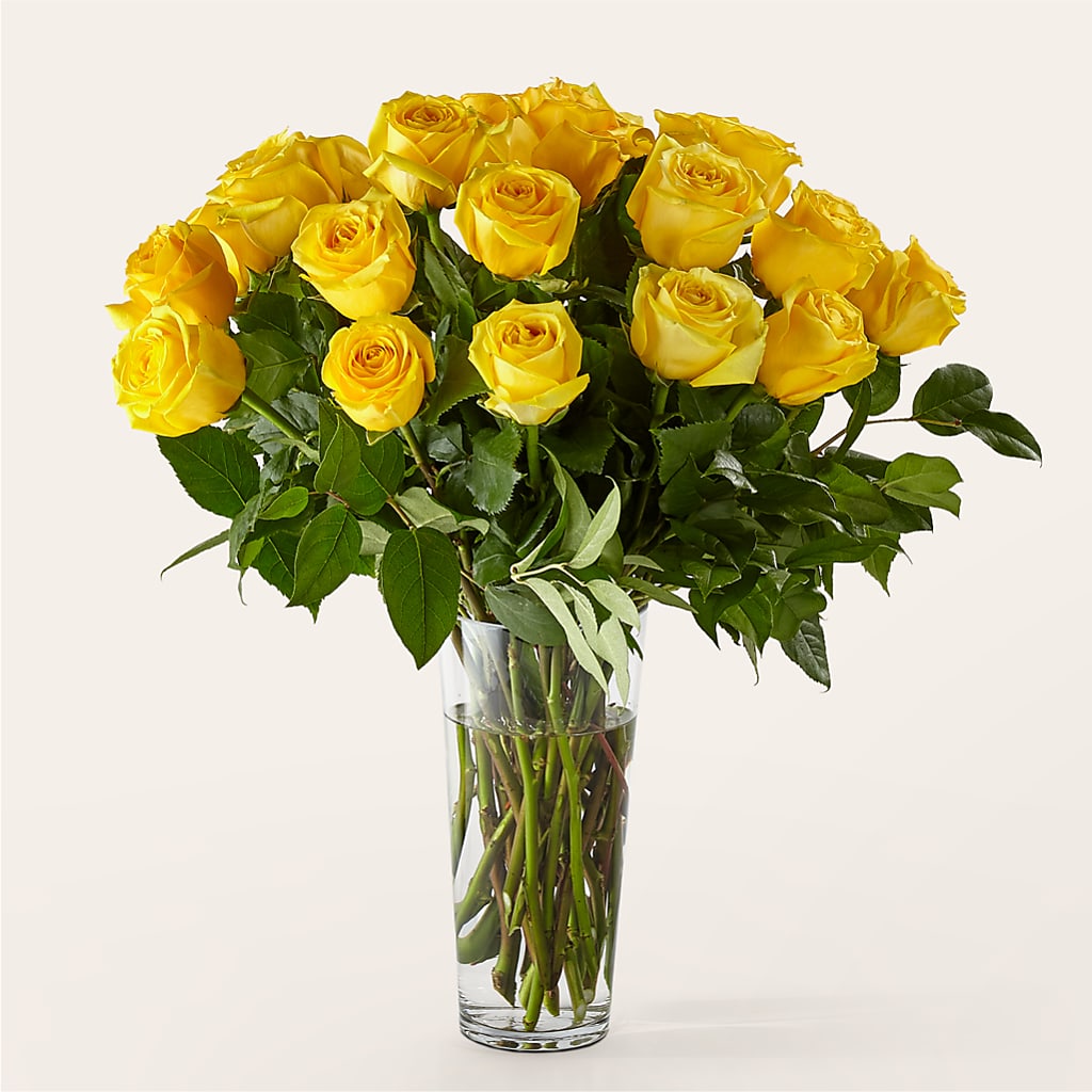 Long Stem Yellow Rose Bouquet – Maple Ridge Florist, Maple Ridge BC