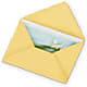Greeting Card – Maple Ridge Florist, Maple Ridge BC