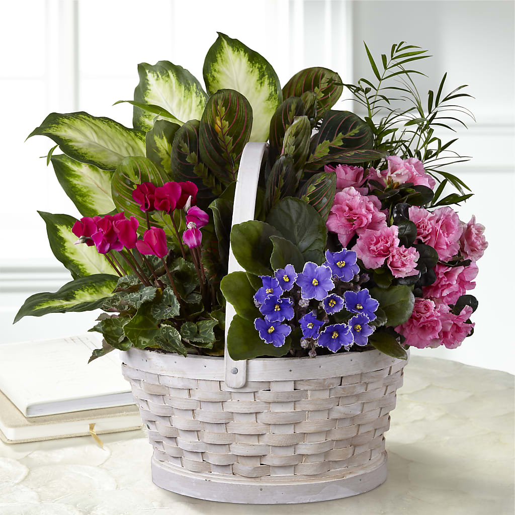 Peaceful Garden Planter – Maple Ridge Florist, Maple Ridge BC