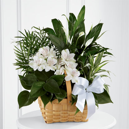 Peace & Serenity Dishgarden –  Maple Ridge Florist, Maple Ridge BC