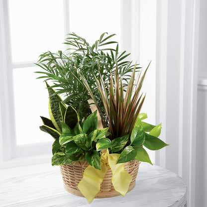 French Garden –  Maple Ridge Florist, Maple Ridge BC