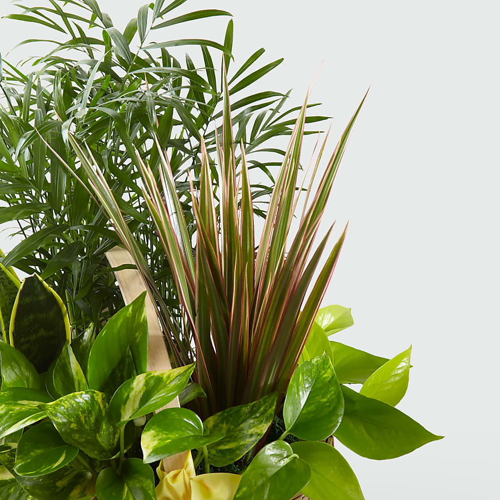 French Garden –  Maple Ridge Florist, Maple Ridge BC