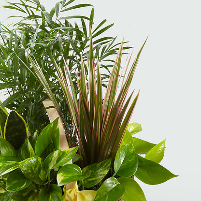 French Garden –  Maple Ridge Florist, Maple Ridge BC