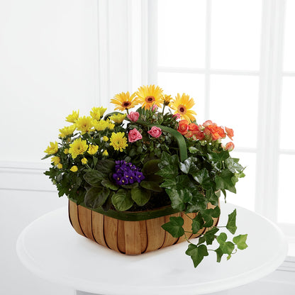 Gentle Blossoms Basket –  Maple Ridge Florist, Maple Ridge BC