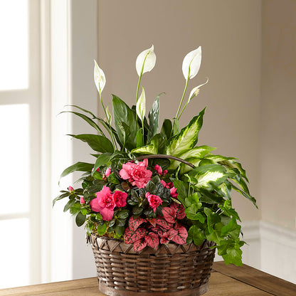 Dream in Pink Dishgarden –  Maple Ridge Florist, Maple Ridge BC