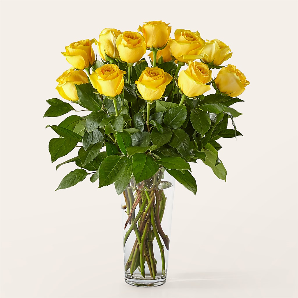 Long Stem Yellow Rose Bouquet –  Maple Ridge Florist, Maple Ridge BC