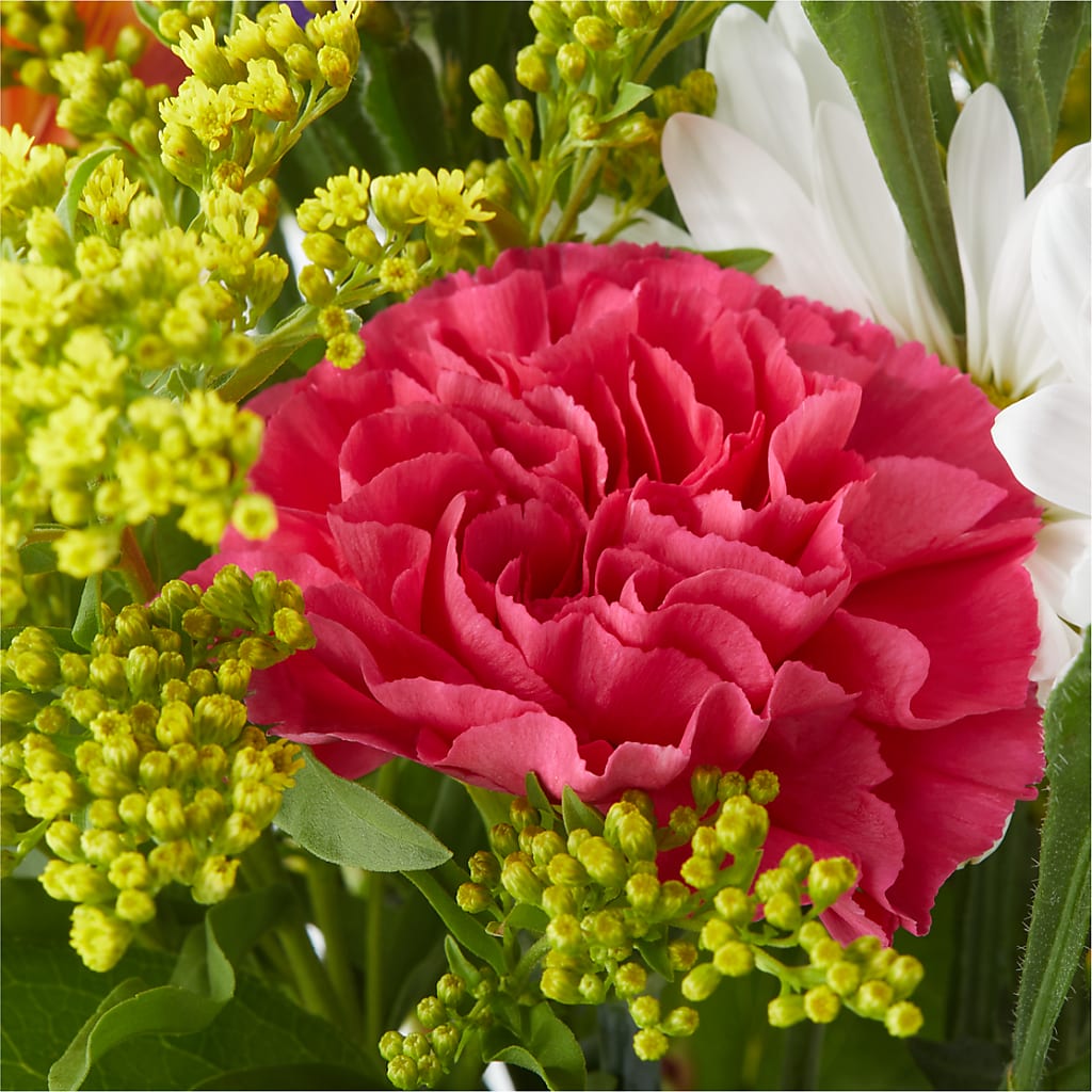 Oopsie Daisy Bouquet –  Maple Ridge Florist, Maple Ridge BC