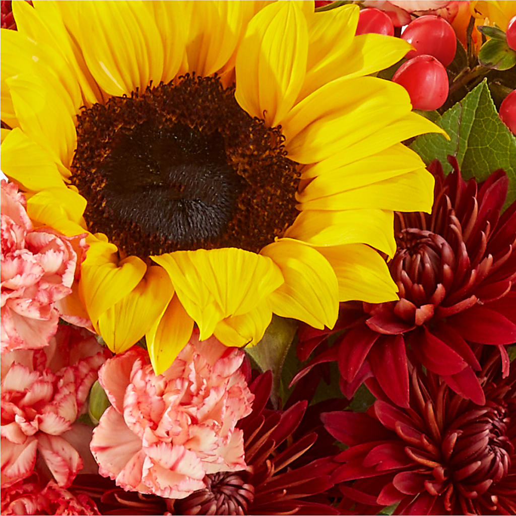 Fresh Cider Bouquet –  Maple Ridge Florist, Maple Ridge BC