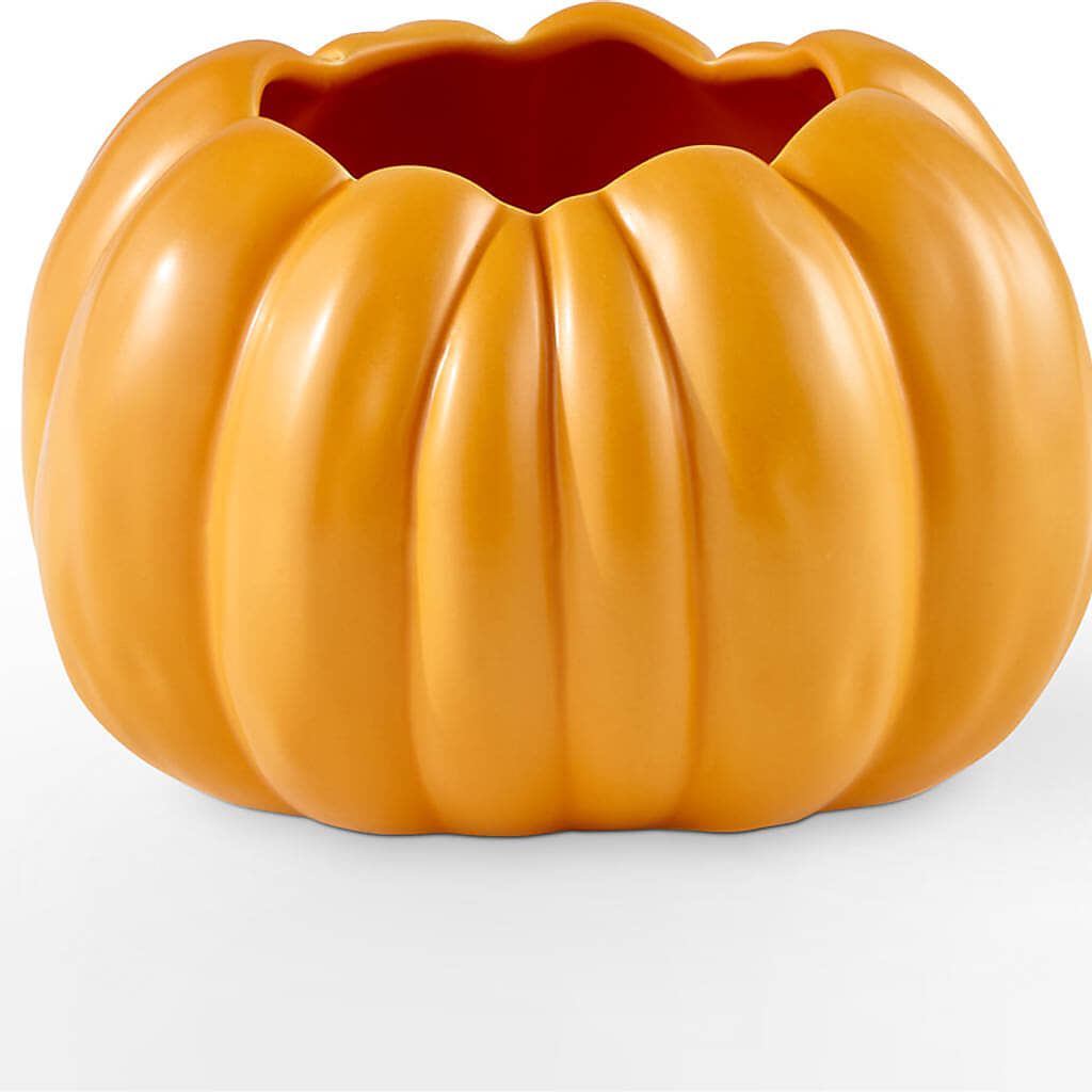 Golden Gourd Pumpkin Bouquet –  Maple Ridge Florist, Maple Ridge BC