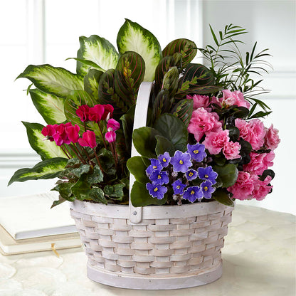 Peaceful Garden Planter –  Maple Ridge Florist, Maple Ridge BC
