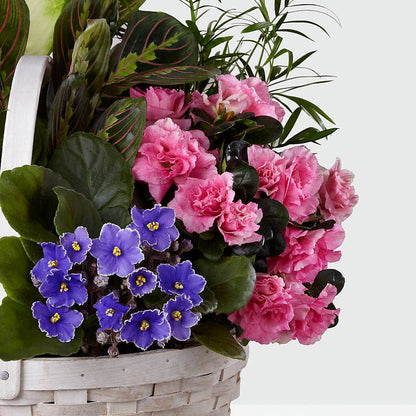 Peaceful Garden Planter –  Maple Ridge Florist, Maple Ridge BC