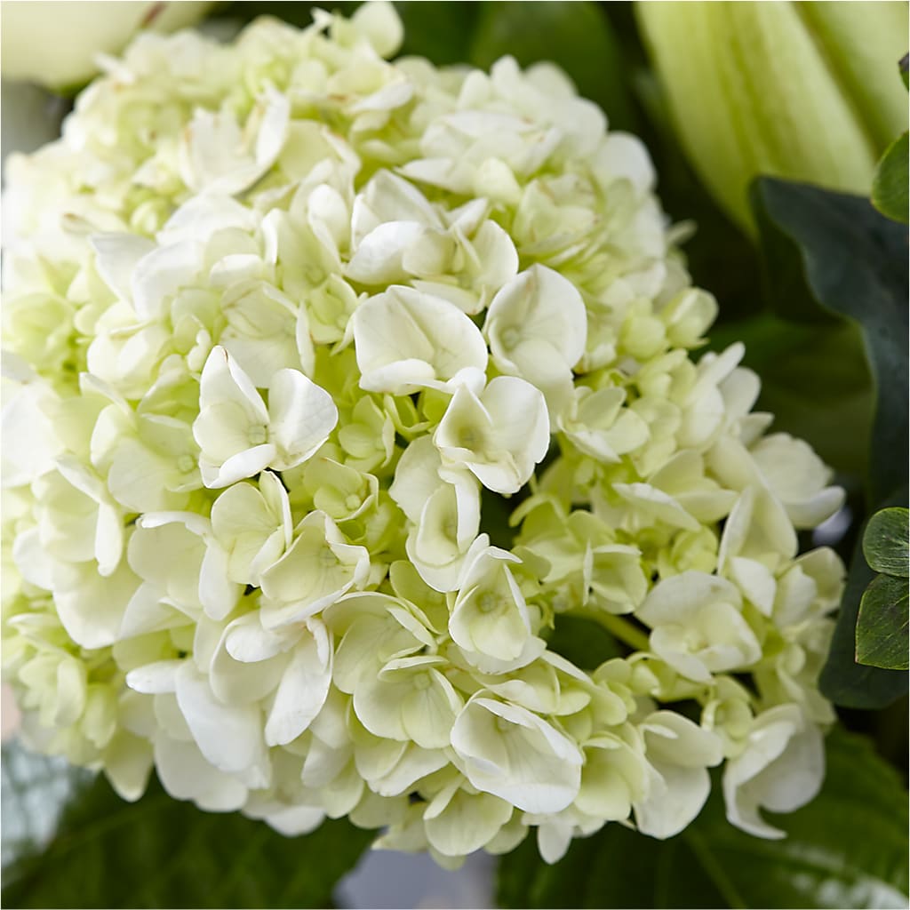 Classic Ivory – A Florist Original –  Maple Ridge Florist, Maple Ridge BC