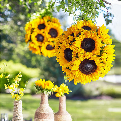 Sublime Garden Hanging Arrangement –  Maple Ridge Florist, Maple Ridge BC